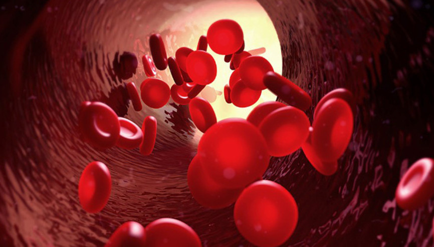 Talasemi nedir Talasemi belirtileri ve tedavisi