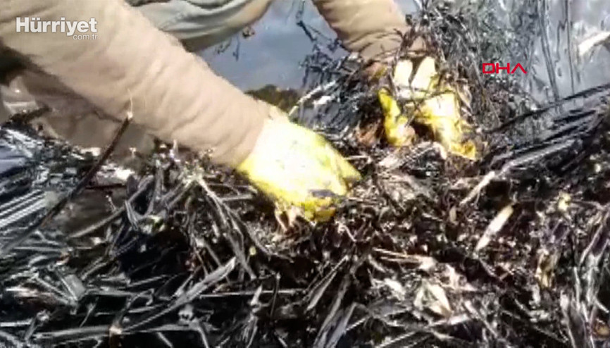 Edirnede fuel oil havuzu patlayan tesis ÇEDsiz çıktı