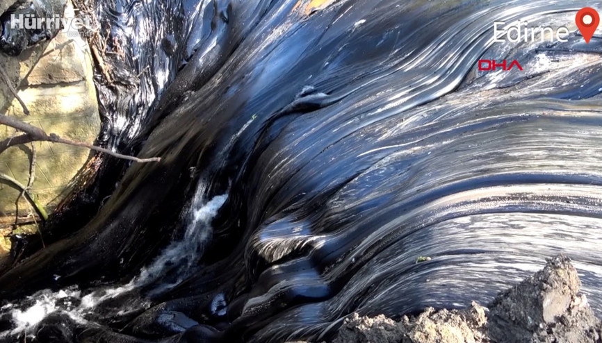 Edirnede zift kaplı tarlalarda temizlik... Elleriyle topladılar