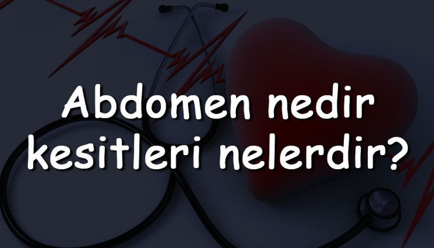 Abdomen nedir, kesitleri nelerdir Üst ve alt abdomen by bulgusu nedir