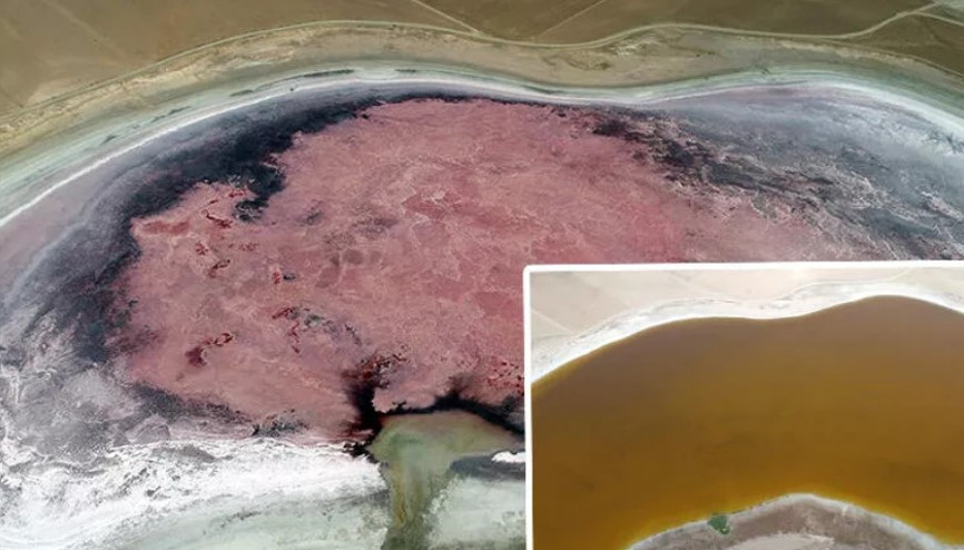 Her yıl pembeye bürünen göl, kahverengi oldu