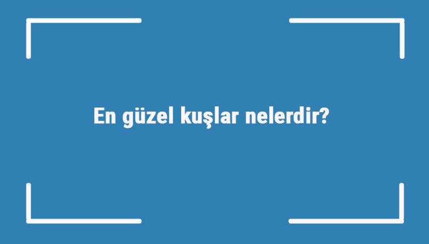 En güzel kuşlar nelerdir En güzel kuş türleri ve isimleri