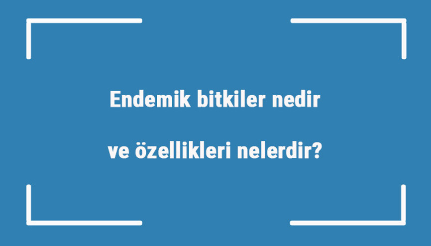 Endemik bitkiler nedir ve özellikleri nelerdir Endemik bitkiler neden önemli ve nasıl korunur