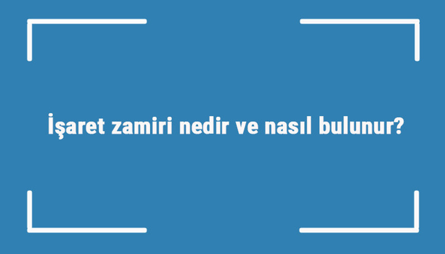 İşaret zamiri nedir ve nasıl bulunur İşaret zamiri örnek cümleleri ile konu anlatımı