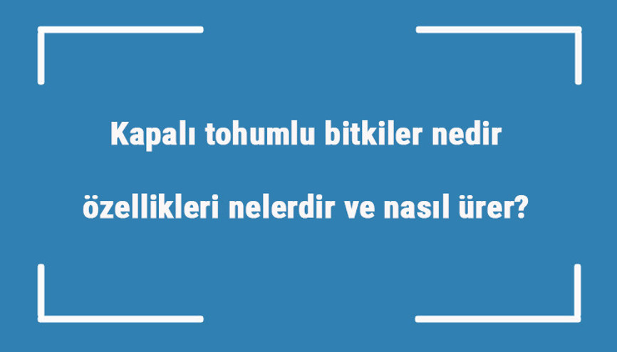 Kapalı tohumlu bitkiler nedir, özellikleri nelerdir ve nasıl ürer kapalı tohumlu bitki çeşitleri ve örnekleri
