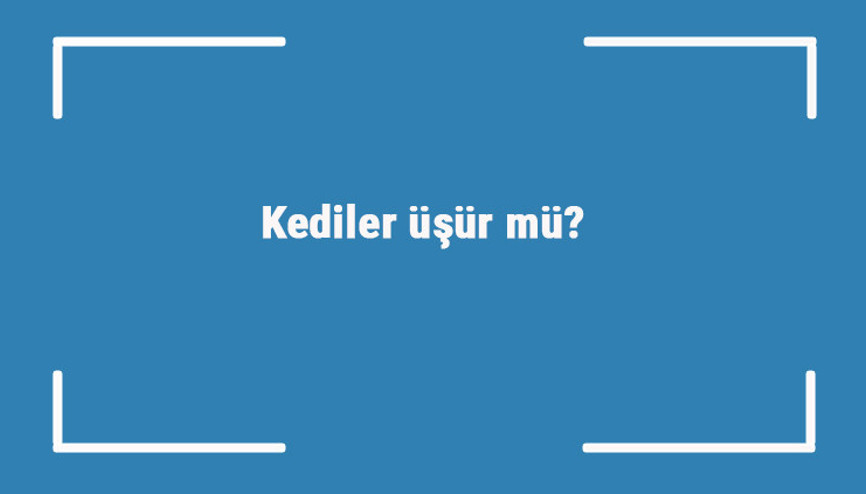Kediler üşür mü Balkonda, karda, yıkanınca ve yazın yavru kediler üşürler mi Kediler üşür mü Balkonda, karda, yıkanınca ve yazın yavru kediler üşürler mi