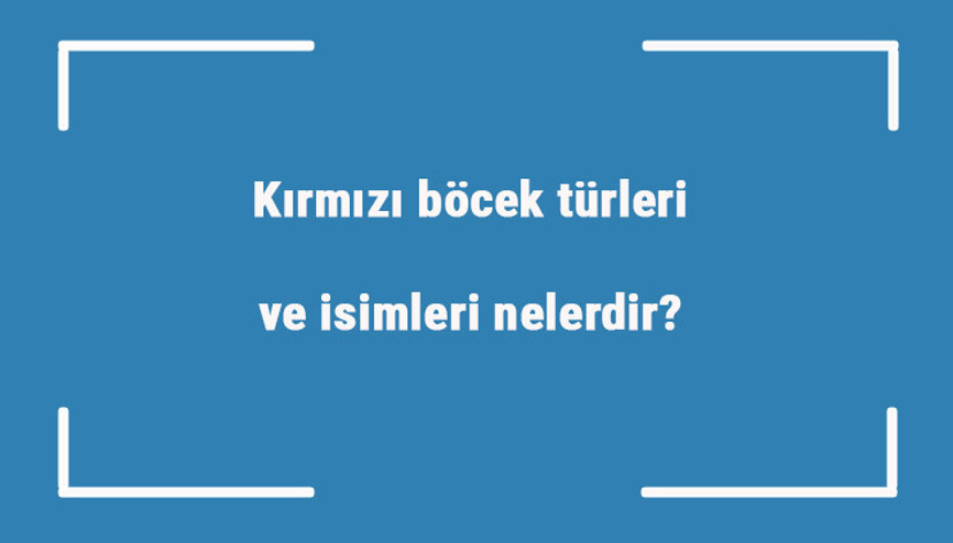 Kırmızı böcek türleri ve isimleri nelerdir