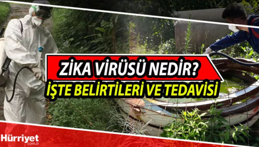 Zika Virusu nedir, nasıl bulaşır