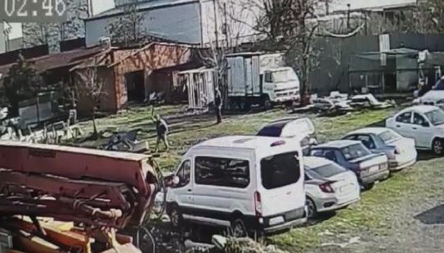 Tavukları kovalayan köpeğe sopayla darp: Cezaları belli oldu