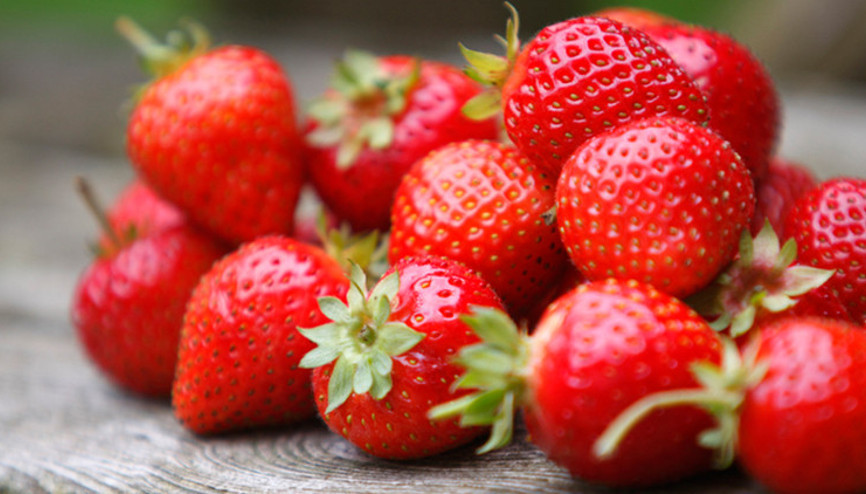 Çilek ne zaman ekilir Çilek ekimi hakkında bilgiler