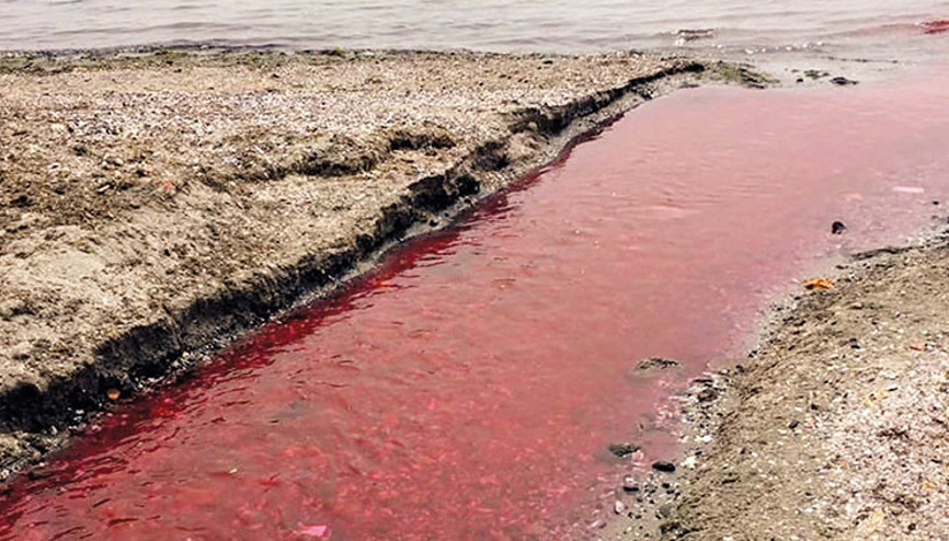 Dereyi kirleten tesis kapatıldı