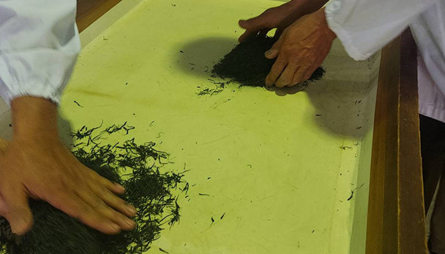 Japonya’da şaşırtan açık artırma: 1 kilo çay 226 bin liraya satıldı