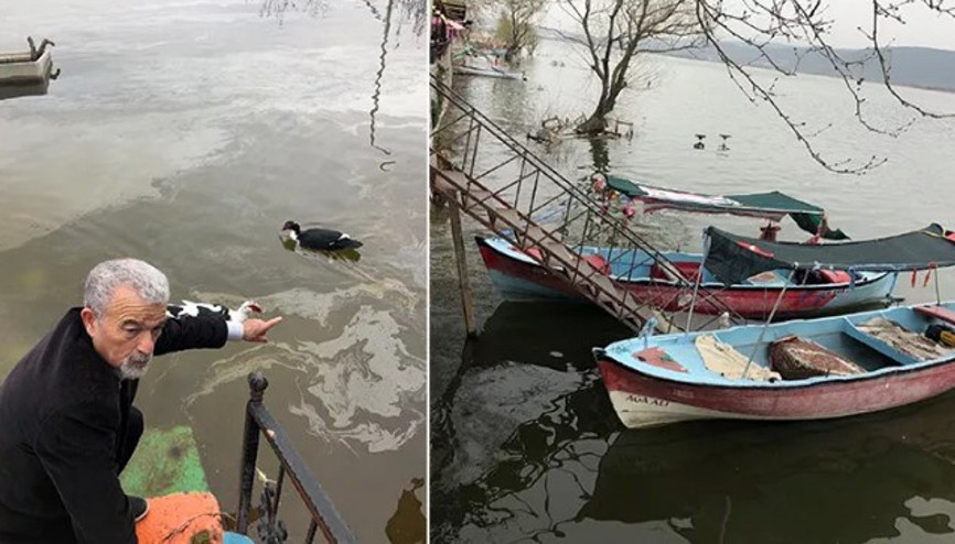 Uluabat Gölünde su çürüyor uyarısı