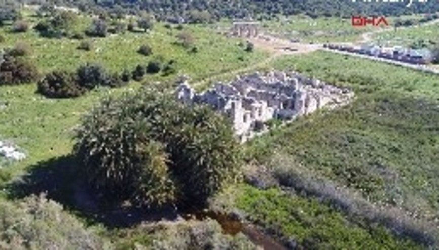 Prof. Dr. Fahri Işık: Leto Hurmalığı, Yunanistanda olsa hac yeri olurdu