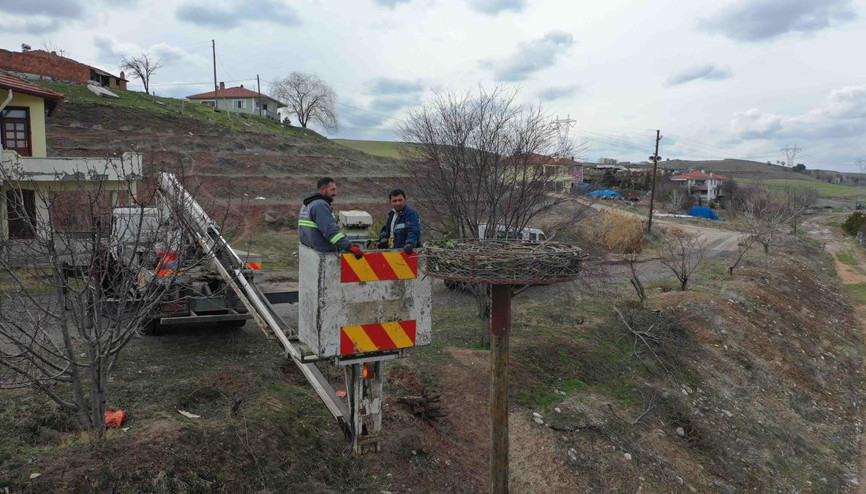 Leyleklere özel yuva