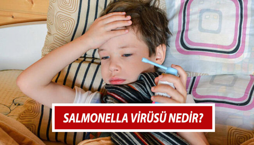 Salmonella virüsü nedir, nasıl bulaşır Salmonella belirtileri nelerdir İşte Salmonella virüsü hakkında Sağlık Bakanlığı bilgileri