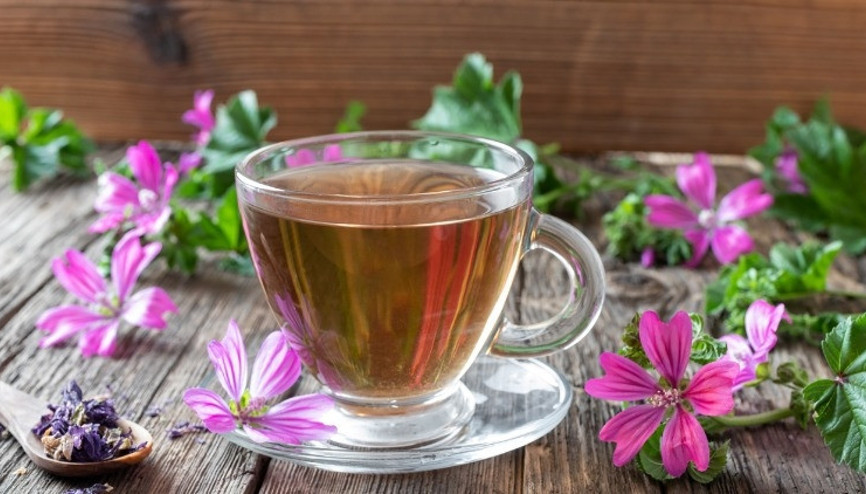 Ebegümeci Nedir, Nasıl Tüketilir Ebegümeci Çayı Faydaları ve Zararları