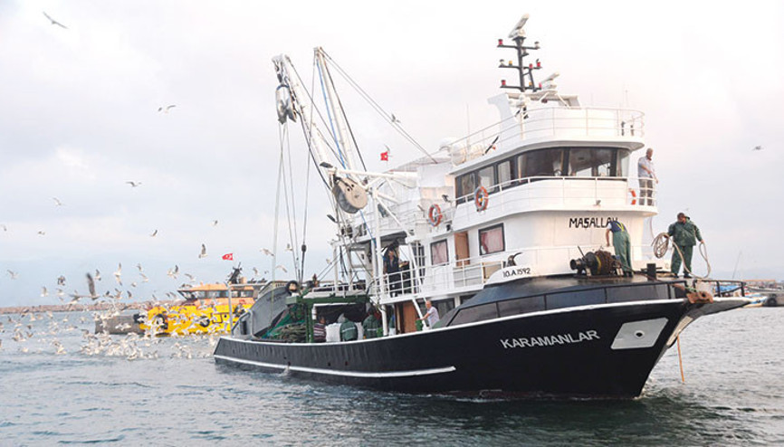 Prof. Dr. Sarı’dan ‘avcılık yasaklansın’ önerisi: Boğazları balıklara açalım