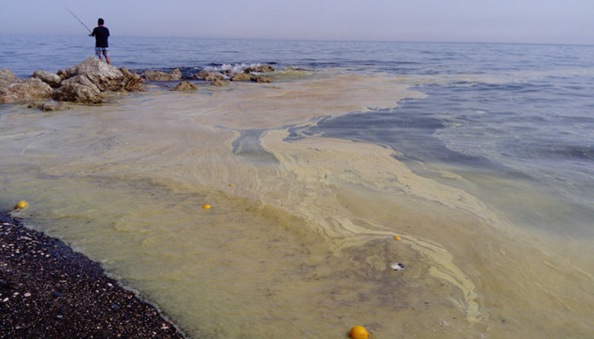 Mersinde denizdeki polen tabakasına akın eden binlerce arı öldü