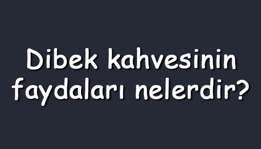 Dibek kahvesinin faydaları nelerdir Nasıl ve neyden yapılır, zayıflatır mı