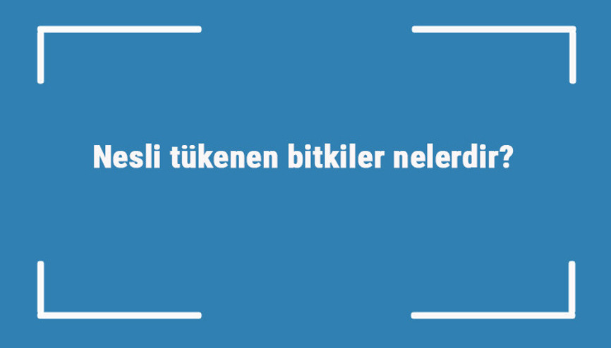 Nesli tükenen bitkiler nelerdir Nesli tükenen bitkilerin özellikleri Nesli tükenen bitkiler nelerdir Nesli tükenen bitkilerin özellikleri