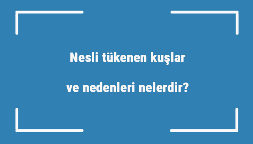 Nesli tükenen kuşlar ve nedenleri nelerdir