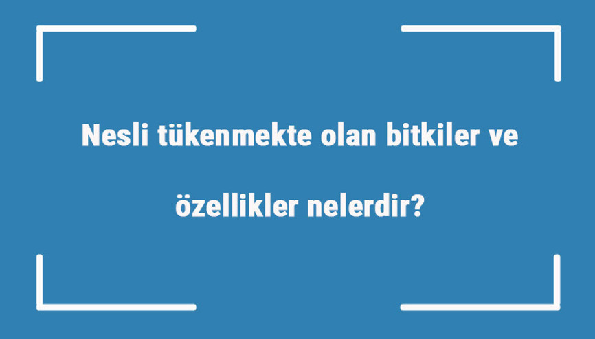 Nesli tükenmekte olan bitkiler ve özellikler nelerdir Türkiye ve dünyada nesli tükenme noktasına gelen bitkiler