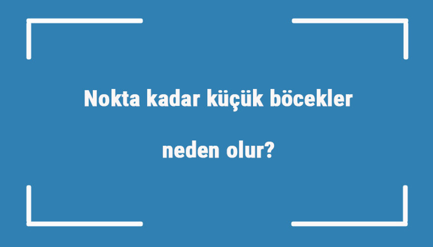 Nokta kadar küçük böcekler neden olur Nokta kadar küçük kırmızı, beyaz ve siyah böcekler nasıl yok edilir