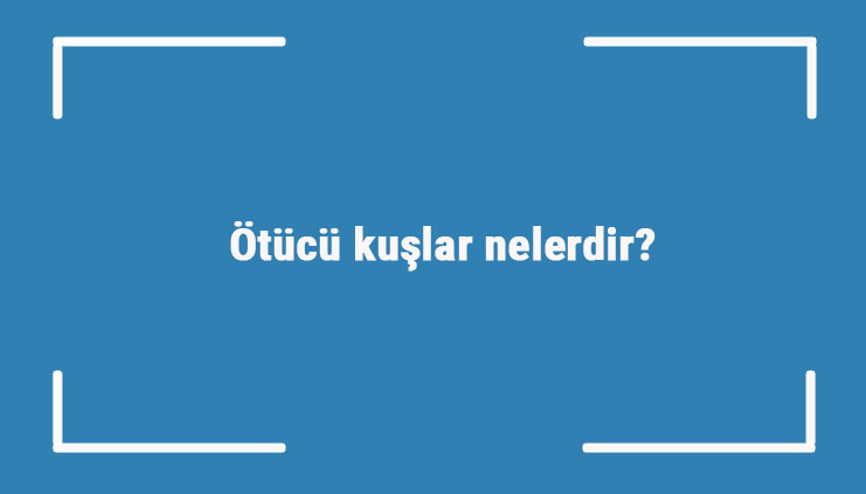 Ötücü kuşlar nelerdir Öten kuşların türleri ve isimleri