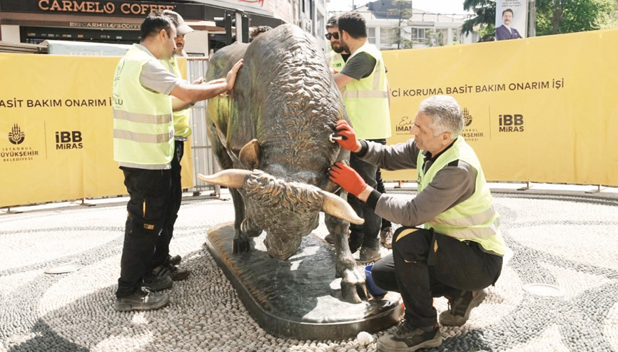 Kadıköy boğası bakımda