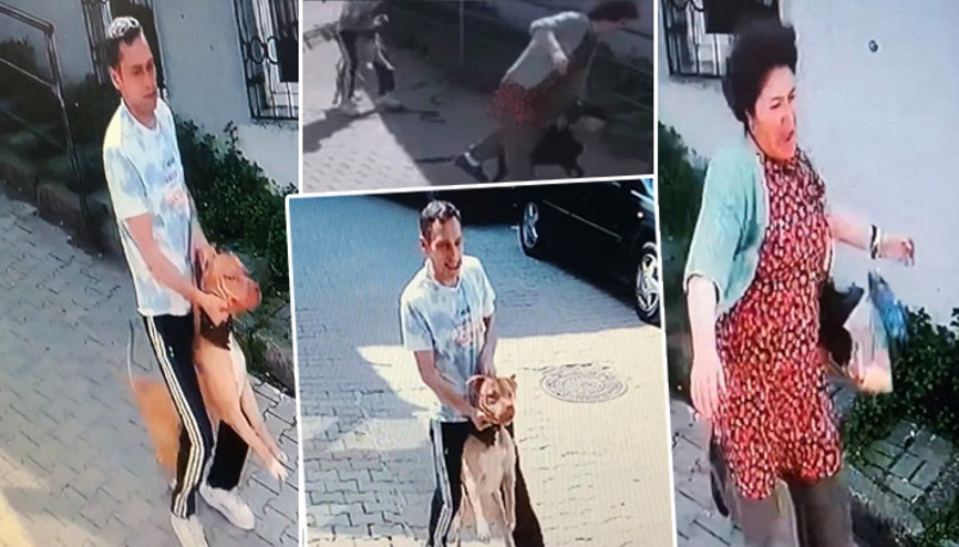 Kağıthanede pitbull dehşeti Köpeğini gezdiren kadın kâbusu yaşadı... Saldırıya uğrayan köpeğini böyle kurtardı