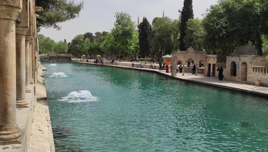 Balıklıgölde balık ölümleri İnceleme başlatıldı