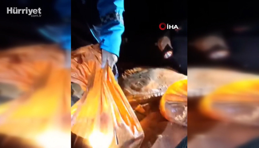 Elektroşok ile avladıkları 200 kilogram sazanı bırakıp kaçtılar