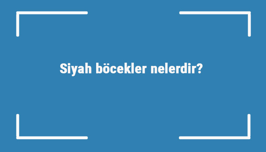 Siyah böcekler nelerdir siyah böcek türleri ve isimleri
