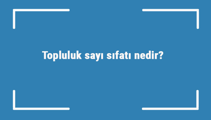 Topluluk sayı sıfatı nedir Topluluk sayı sıfatı ile ilgili örnek cümleler ve konu anlatımı