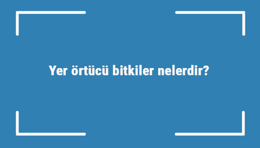 Yer örtücü bitkiler nelerdir Yer örtücü bitki isimleri, çeşitleri ve örnekleri