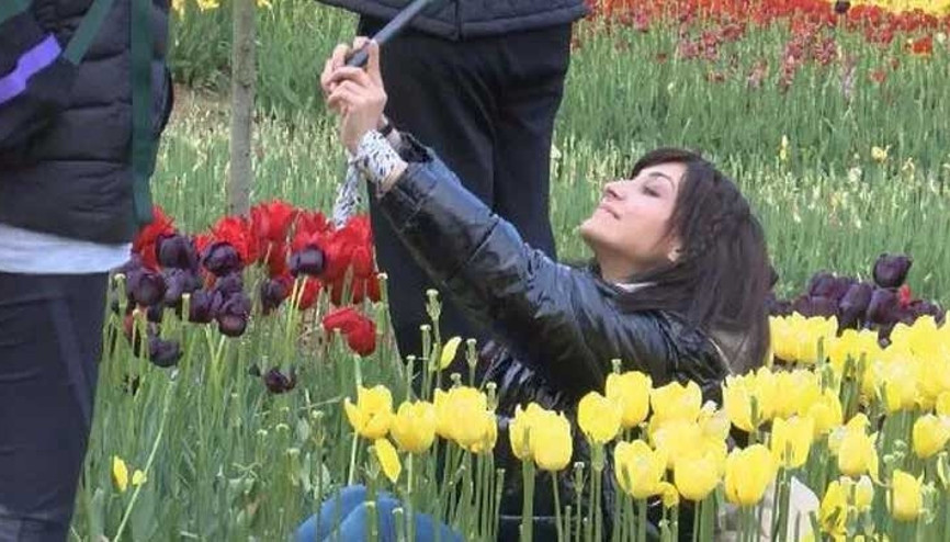 Lale şölenine fotoğraf gölgesi: Herkes basmış, ben de bastım