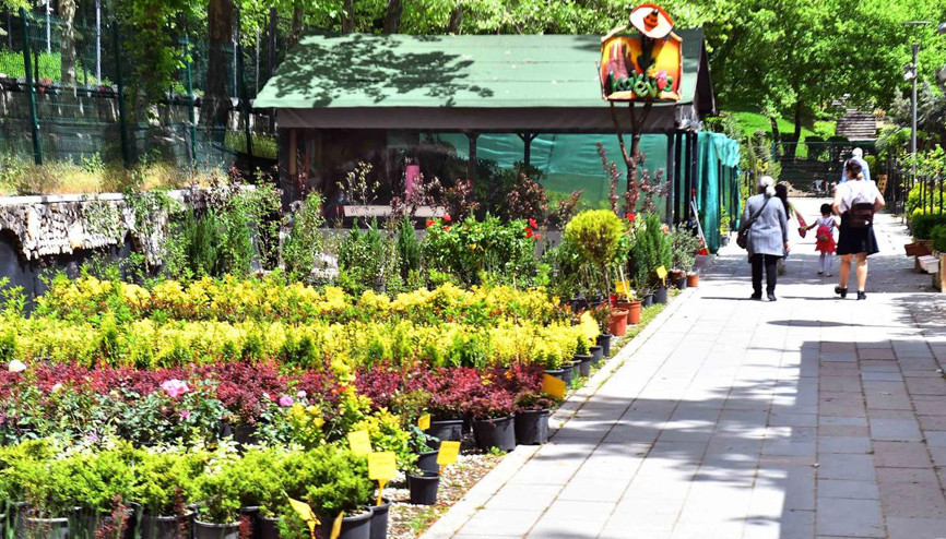 ANFA’dan özel mülklere peyjaz hizmeti