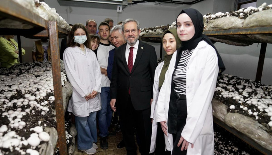 Sıfır kimyasalla mantar yetiştirildi