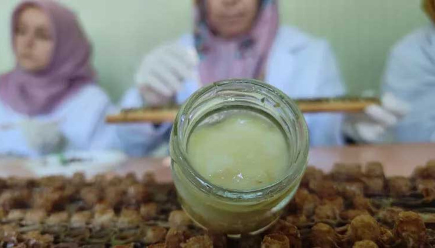 Hücre yeniliyor Kilosu 10 bin liradan satışa çıktı