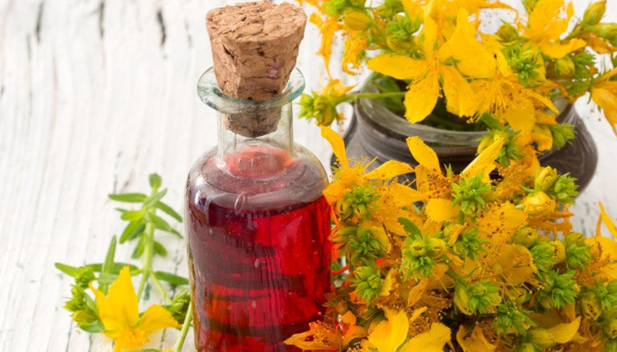 Kantaron yağı faydaları nelerdir, nasıl kullanılır Kantaron yağının saça,cilde, sağlığa faydaları