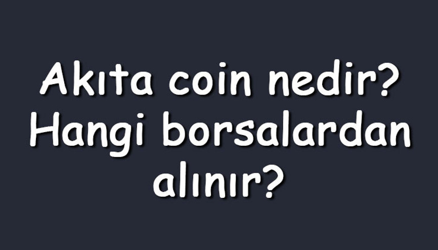 Akıta coin nedir Hangi borsalardan alınır Akita Inu ne zaman çıktı Ne iş yapar Akıta coin nedir Hangi borsalardan alınır Akita Inu ne zaman çıktı Ne iş yapar