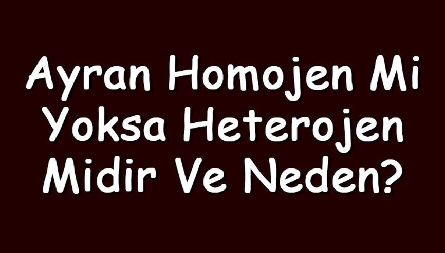 Ayran homojen mi yoksa heterojen midir ve neden