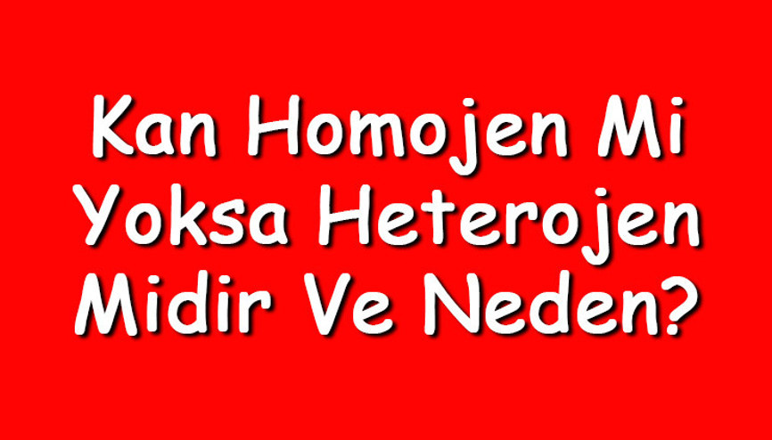 Kan homojen mi yoksa heterojen midir ve neden