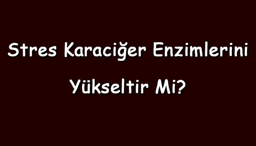 Stres karaciğer enzimlerini yükseltir mi Stresin karaciğere ve enzimlerine etkileri neler
