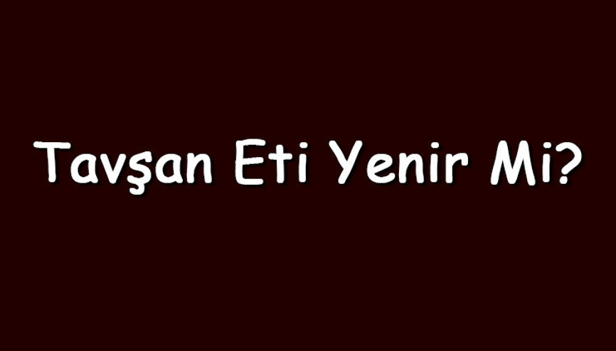 Tavşan eti yenir mi Hamilelikte evcil tavşan eti tüketilebilir mi Tavşan eti yenir mi Hamilelikte evcil tavşan eti tüketilebilir mi