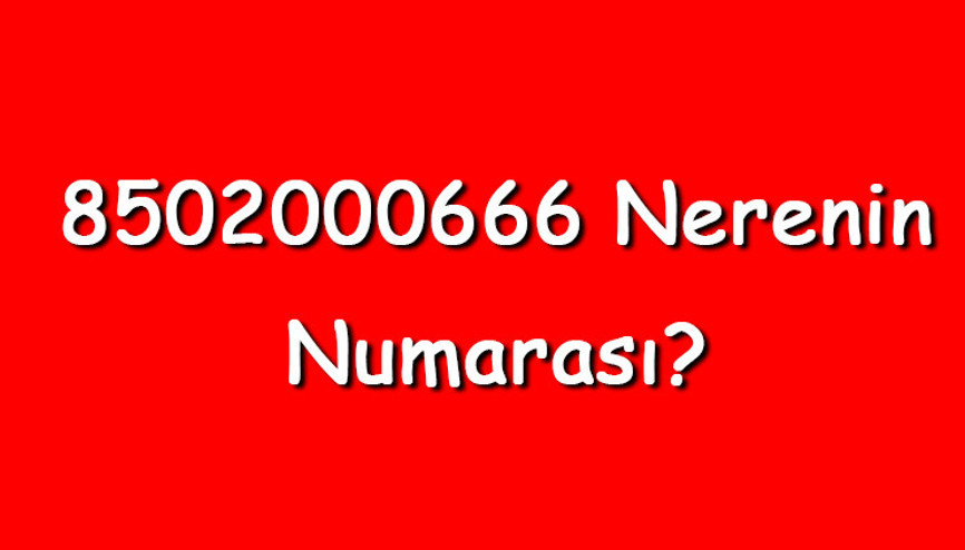8502000666 nerenin numarası 850 200 06 66 telefon numarası hangi firmaya ait