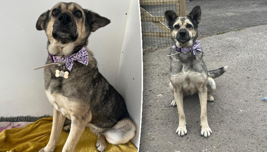 Sosyal medya kaderini değiştirdi: Zonguldak’tan Londra’ya gitti