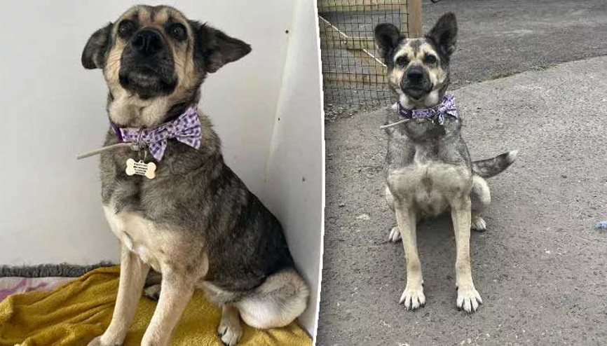 Sosyal medya kaderini değiştirdi: Zonguldak’tan Londra’ya gitti