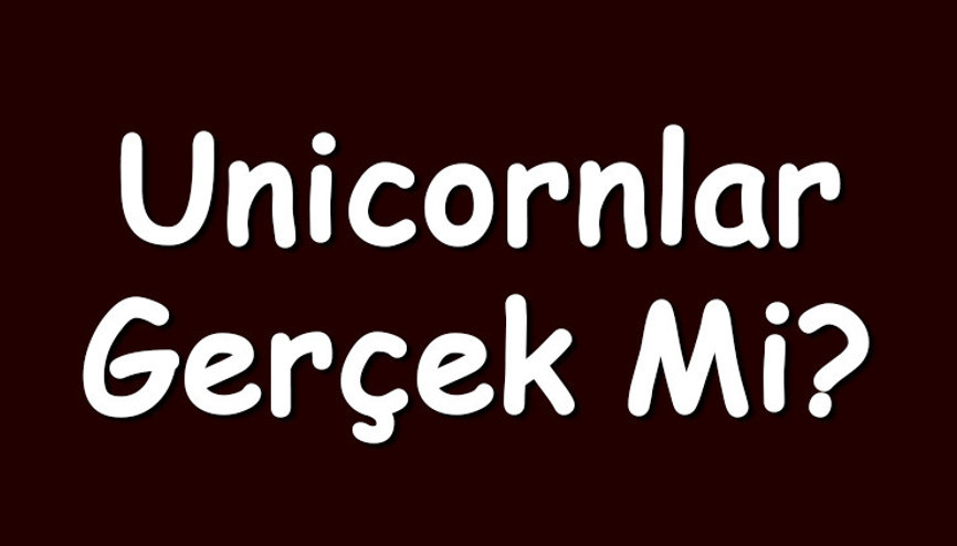 Unicornlar gerçek mi Unicornlar hakkında efsaneler ve bilgiler